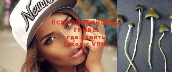 эйфоретик Михайловск