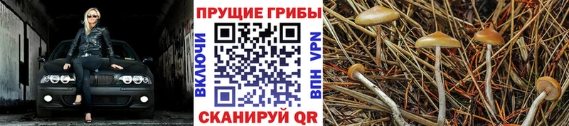 Галлюциногенные грибы ЛСД Ростов-на-Дону